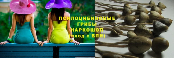 прущая мука Верхний Тагил