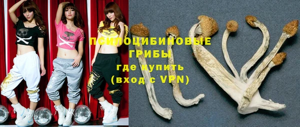 синтетический гашиш Богородск