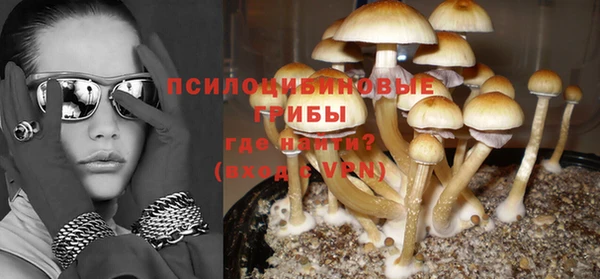 синтетический гашиш Богородск