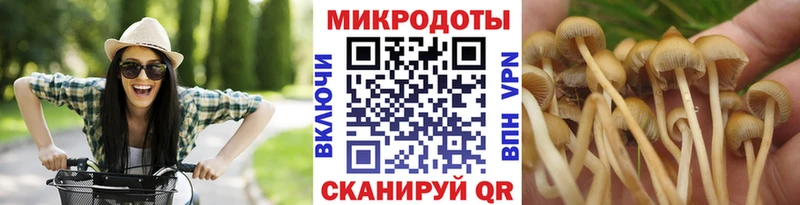 Псилоцибиновые грибы Psilocybine cubensis  blacksprut как войти  Волхов 