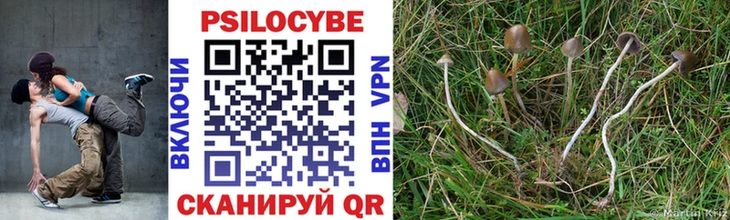 Галлюциногенные грибы мухоморы Волхов
